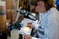 LANXESS_uebernimmt_Biozid-Spezialisten_INTACE
